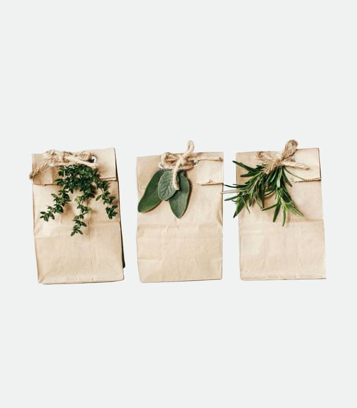 Aari Needle Set (Beginner Pack)